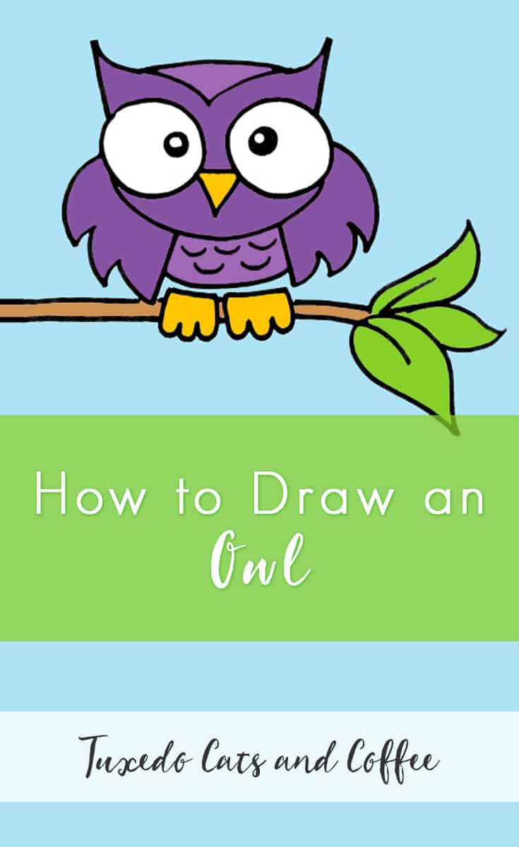 How to Draw an Owl