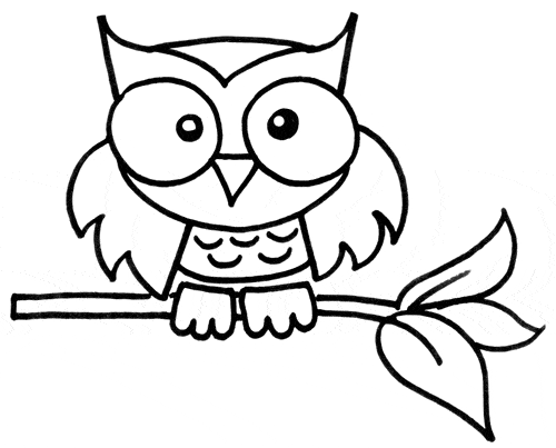 Finished owl drawing without color