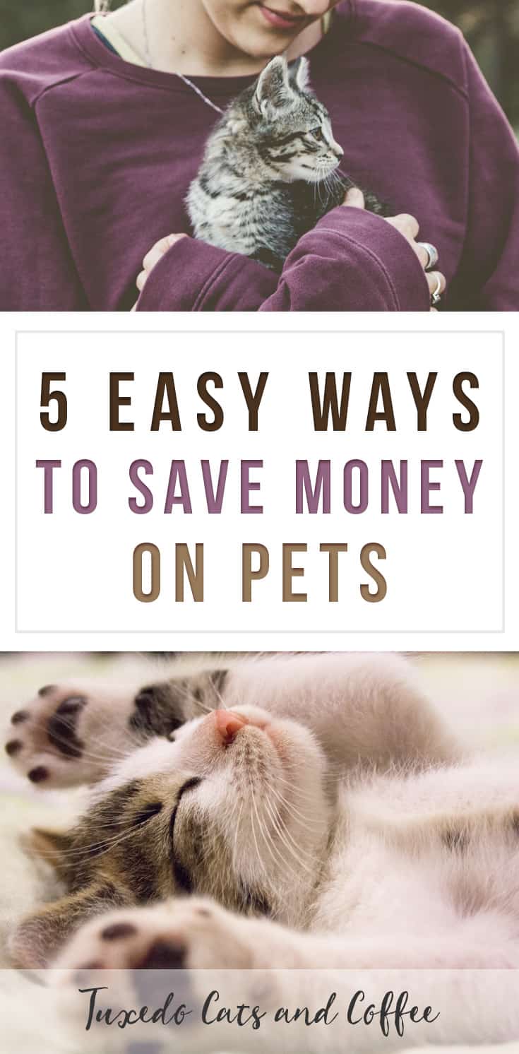 Easy Ways to Save Money on Pets
