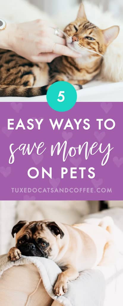 Ways to Save Money on Pets