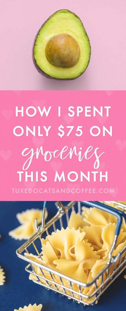 How I Spent Only $75 on Groceries This Month