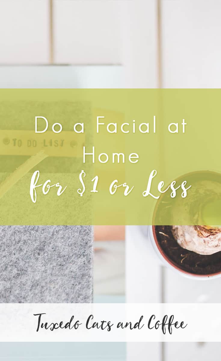 Do a Facial at Home for $1 or Less