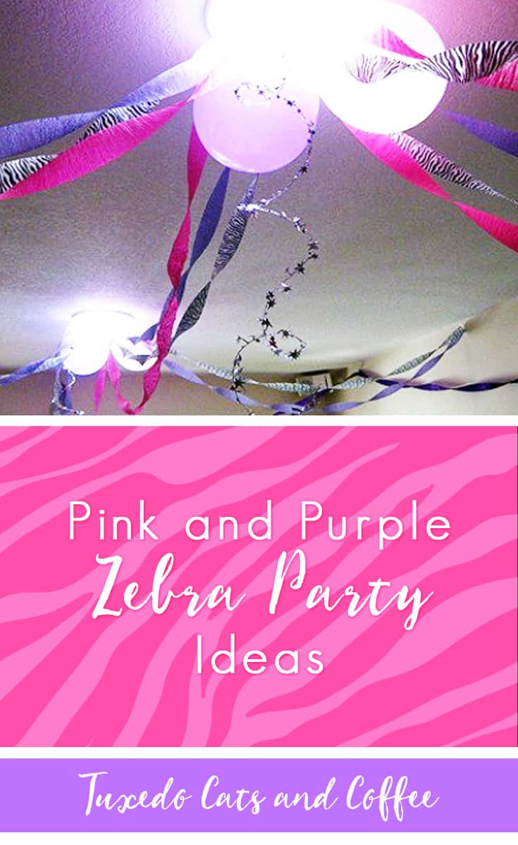 Pink and Purple Zebra Party