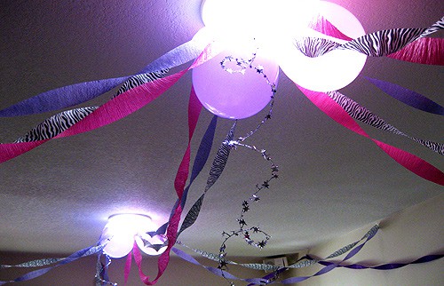 Pink and Purple Zebra Party Decorations