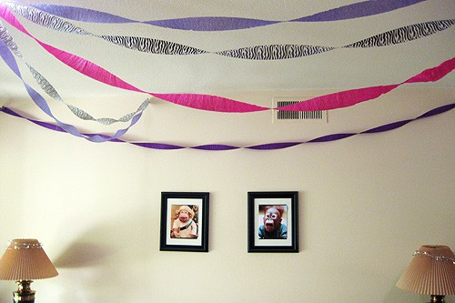 Pink and Purple Zebra Party Multiple Streamers