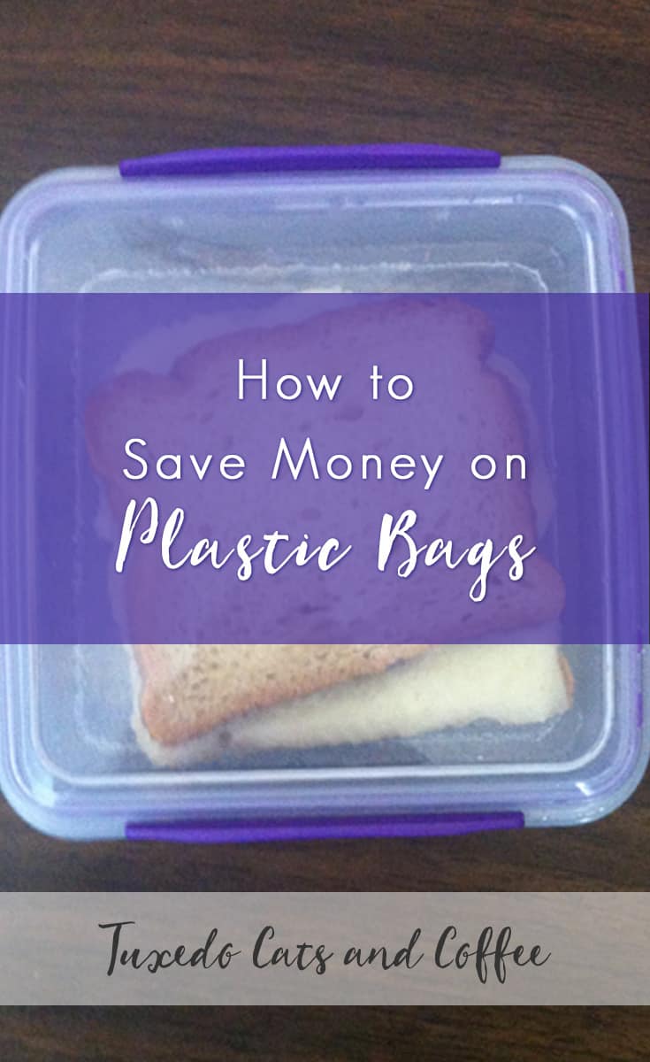 Save money on plastic bags with reusable containers