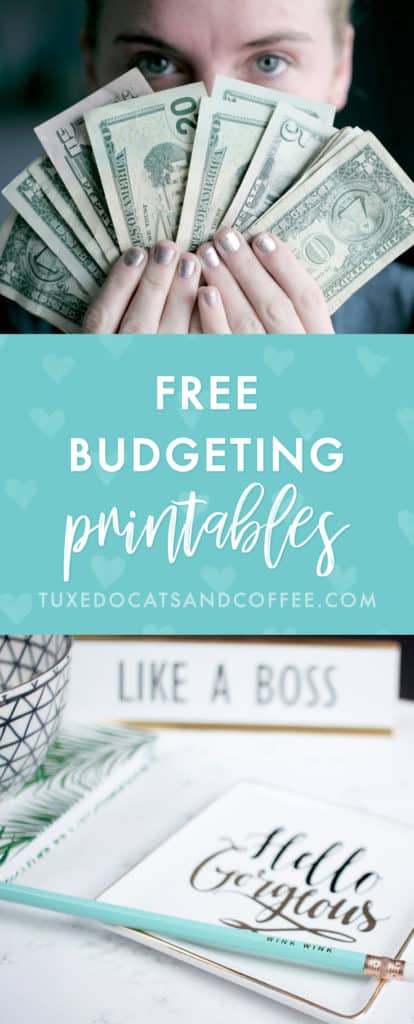 When you're first trying to create a budget, it can be helpful to see what someone else's budget looks like and what categories they use. That's why I created these free budgeting printables to help you create a budget!