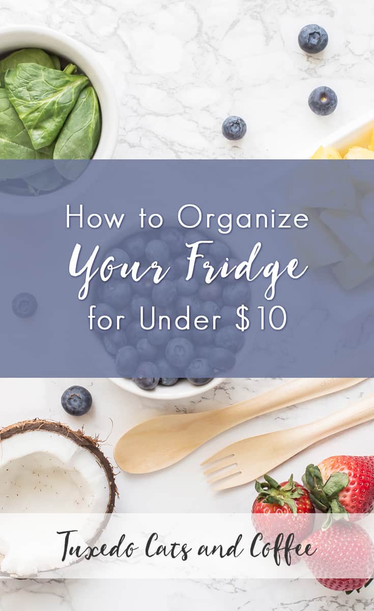 How to Organize Your Fridge for Under 10 Fridge Organizing Hacks