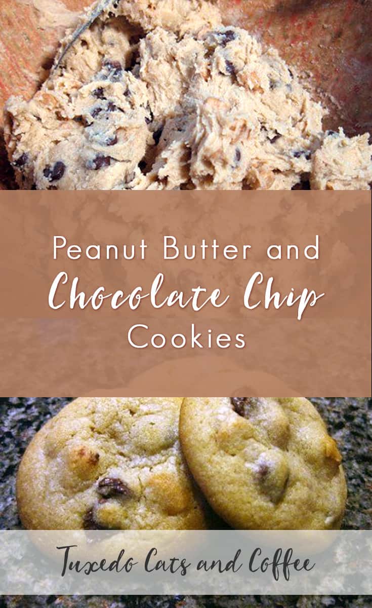 Peanut Butter and Chocolate Chip Cookies Recipe