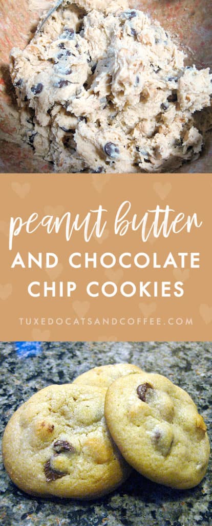 Peanut Butter and Chocolate Chip Cookies