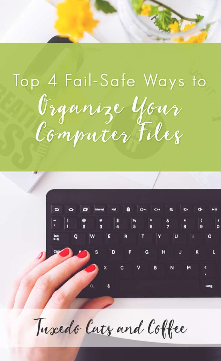 Are you plagued by multiple files and folders that are crammed with various file formats? Do you always resort to the time-consuming “search all” to find a file in your hard drive or external drive? Here are the top 4 fail-safe ways to organize your computer files.