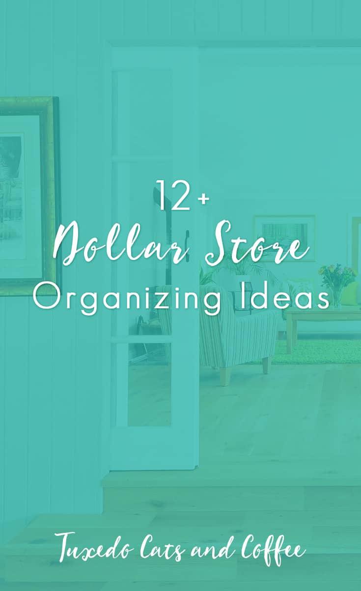 cost check cat yearly up 12 Dollar Tuxedo Cats  and Organizing Store Ideas Coffee