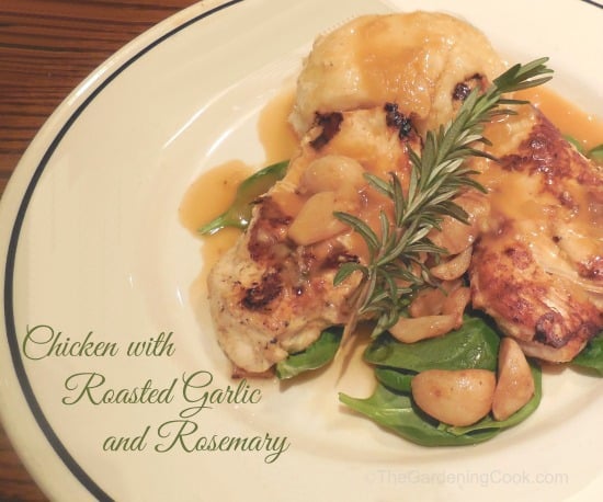 Chicken with roasted garlic and rosemary