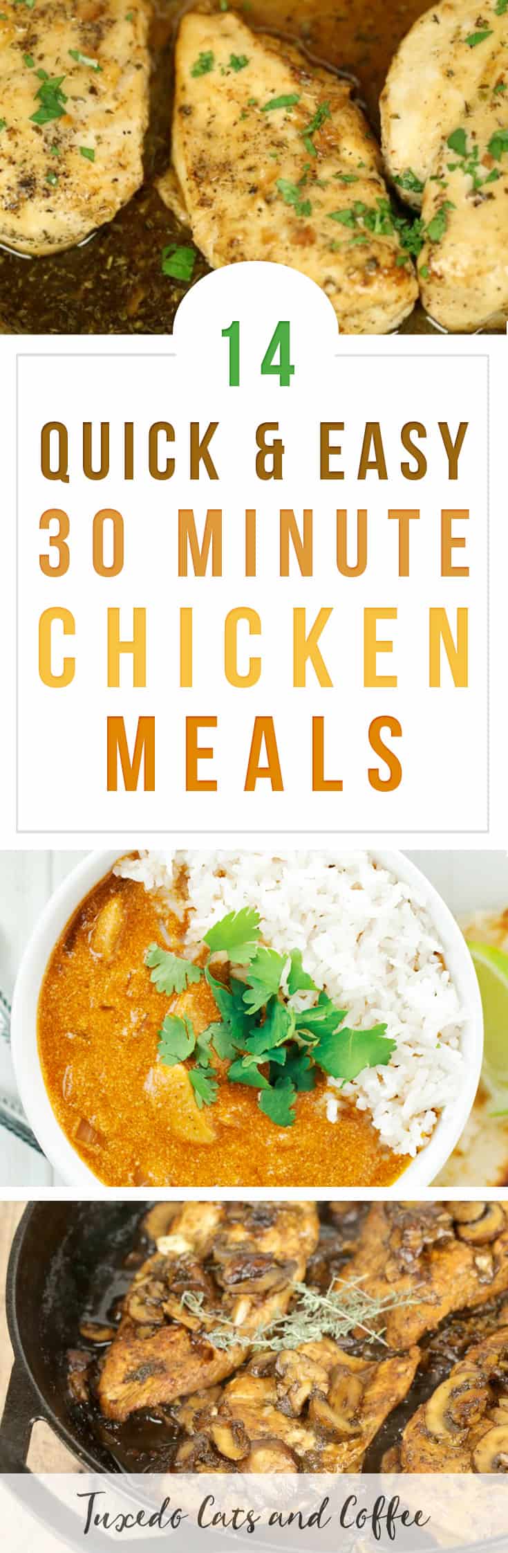 30 Minute Chicken Meals