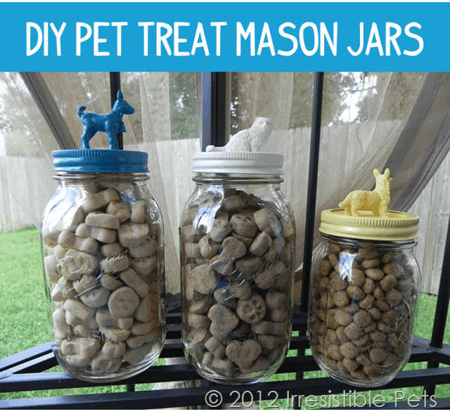 DIY Pet Treat Mason Jars