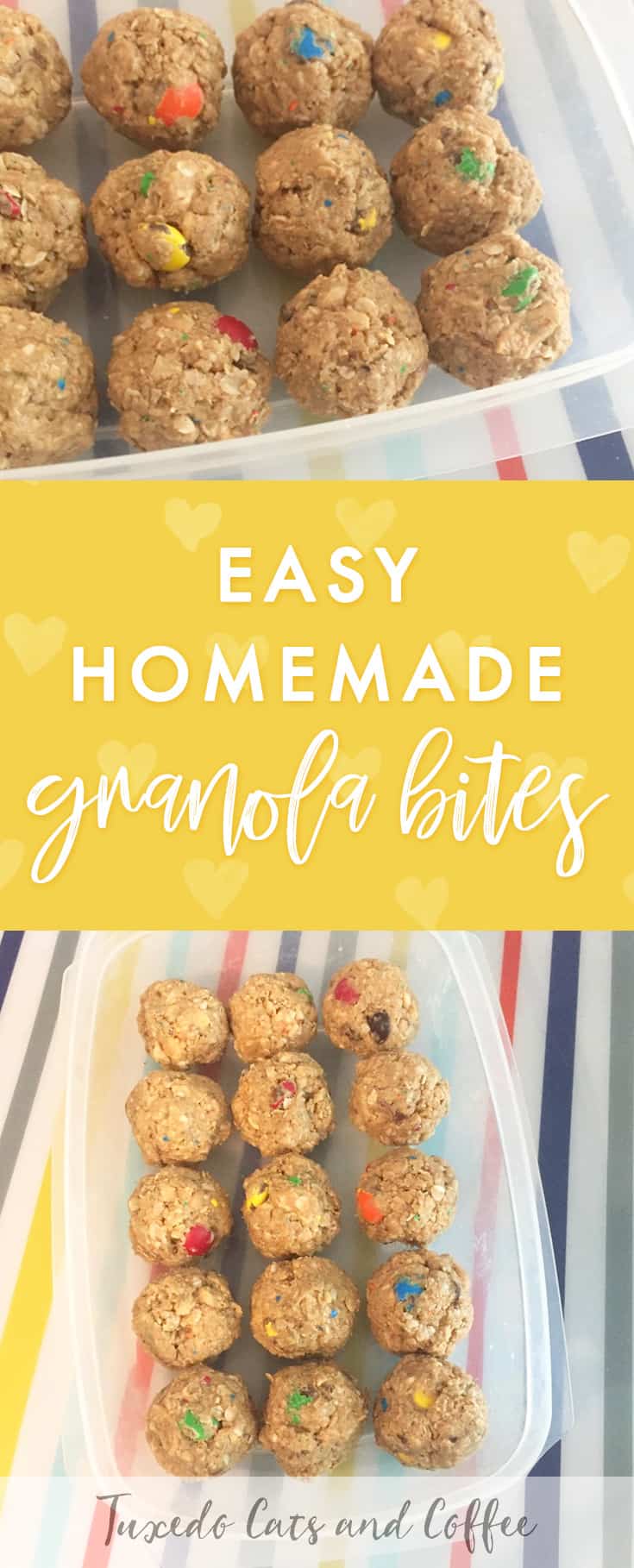 Easy Homemade Granola Bites Tuxedo Cats and Coffee